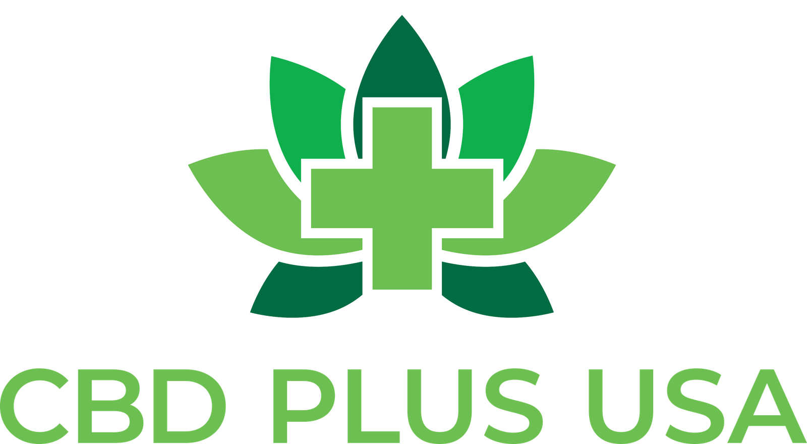 CBD Plus USA Logo Text