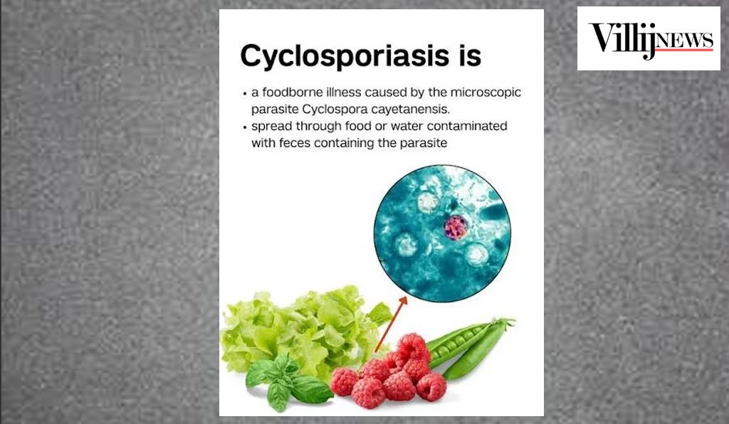 Cyclospora